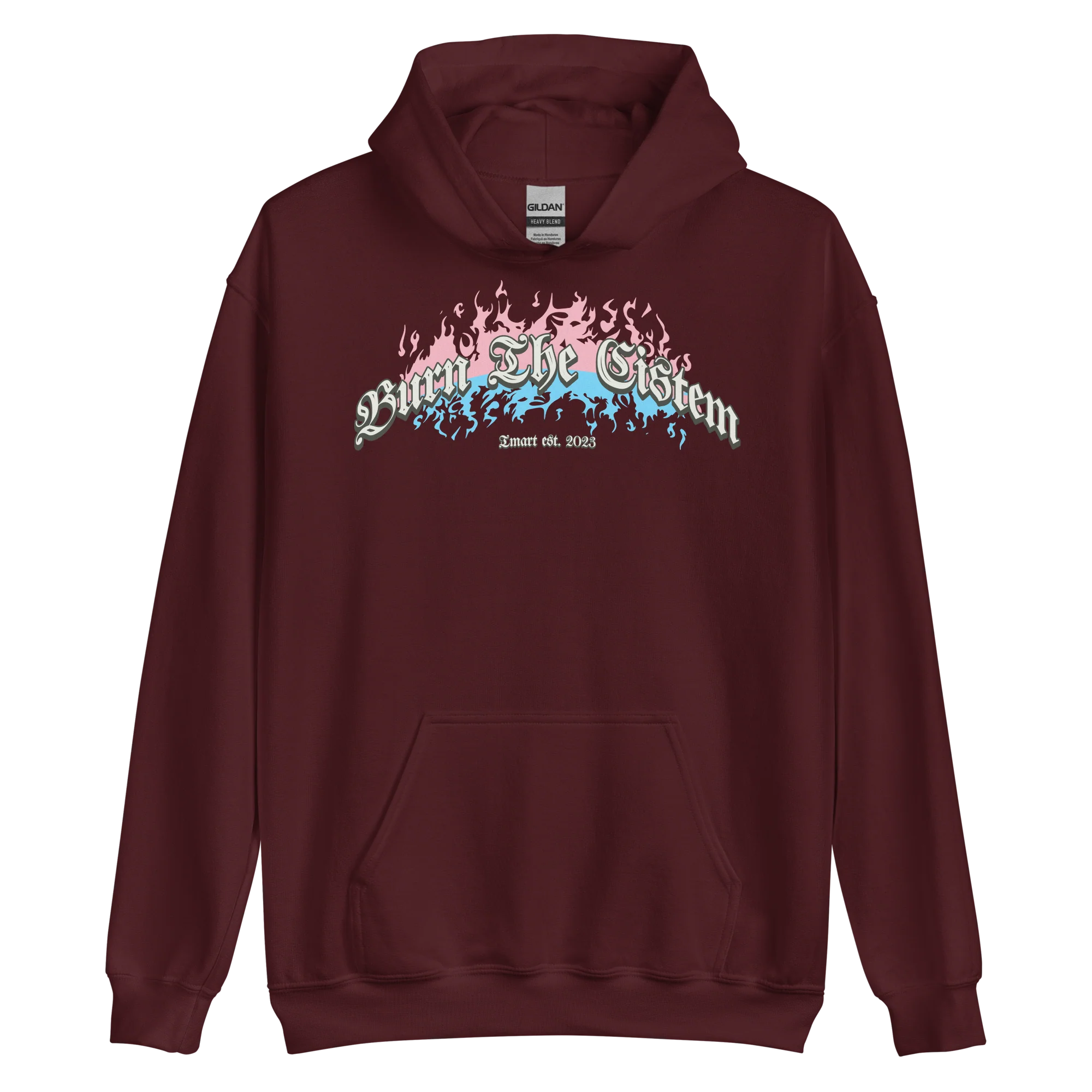 Burn the Cistem Hoodie - Image 3