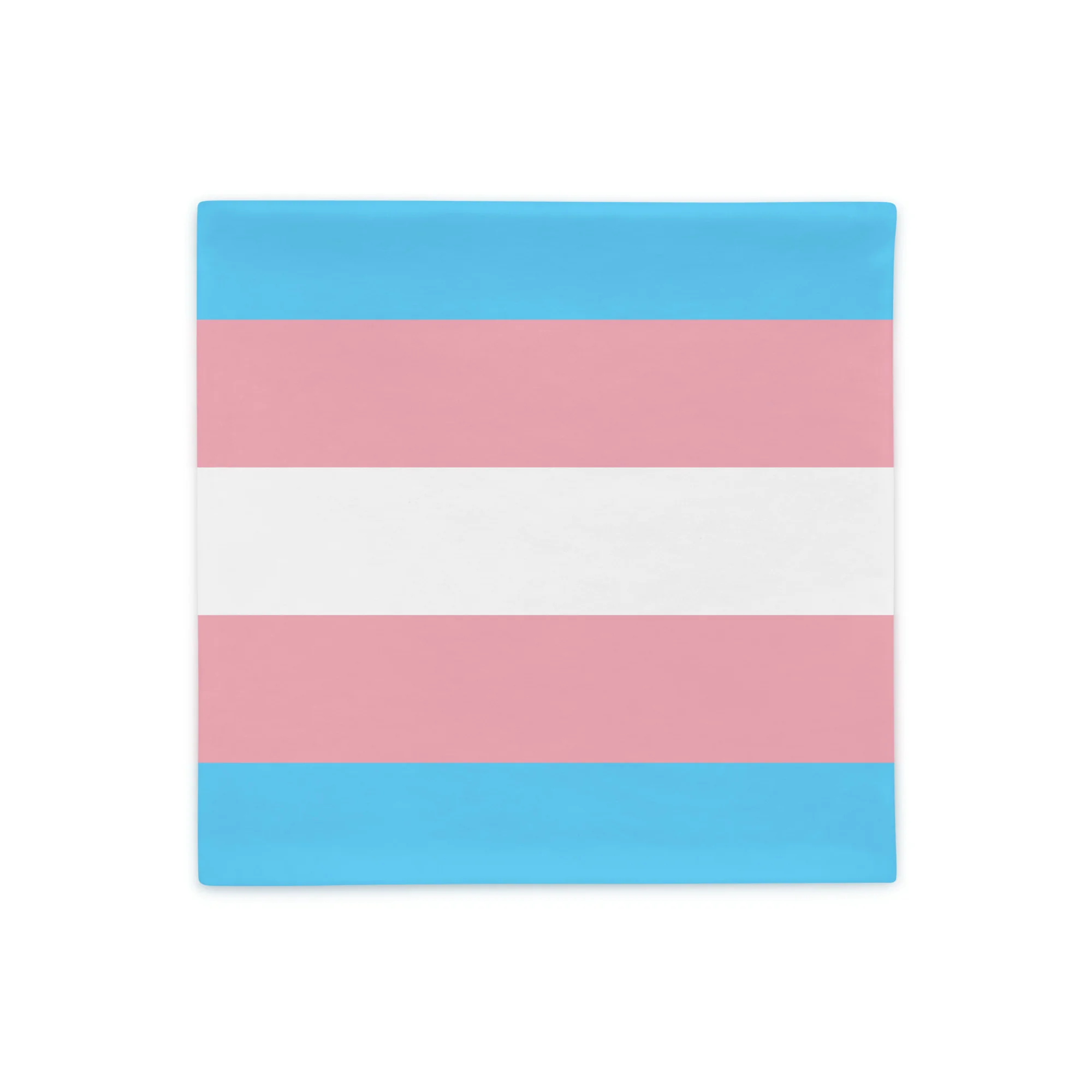 Trans Pride Pillow Case - Image 3