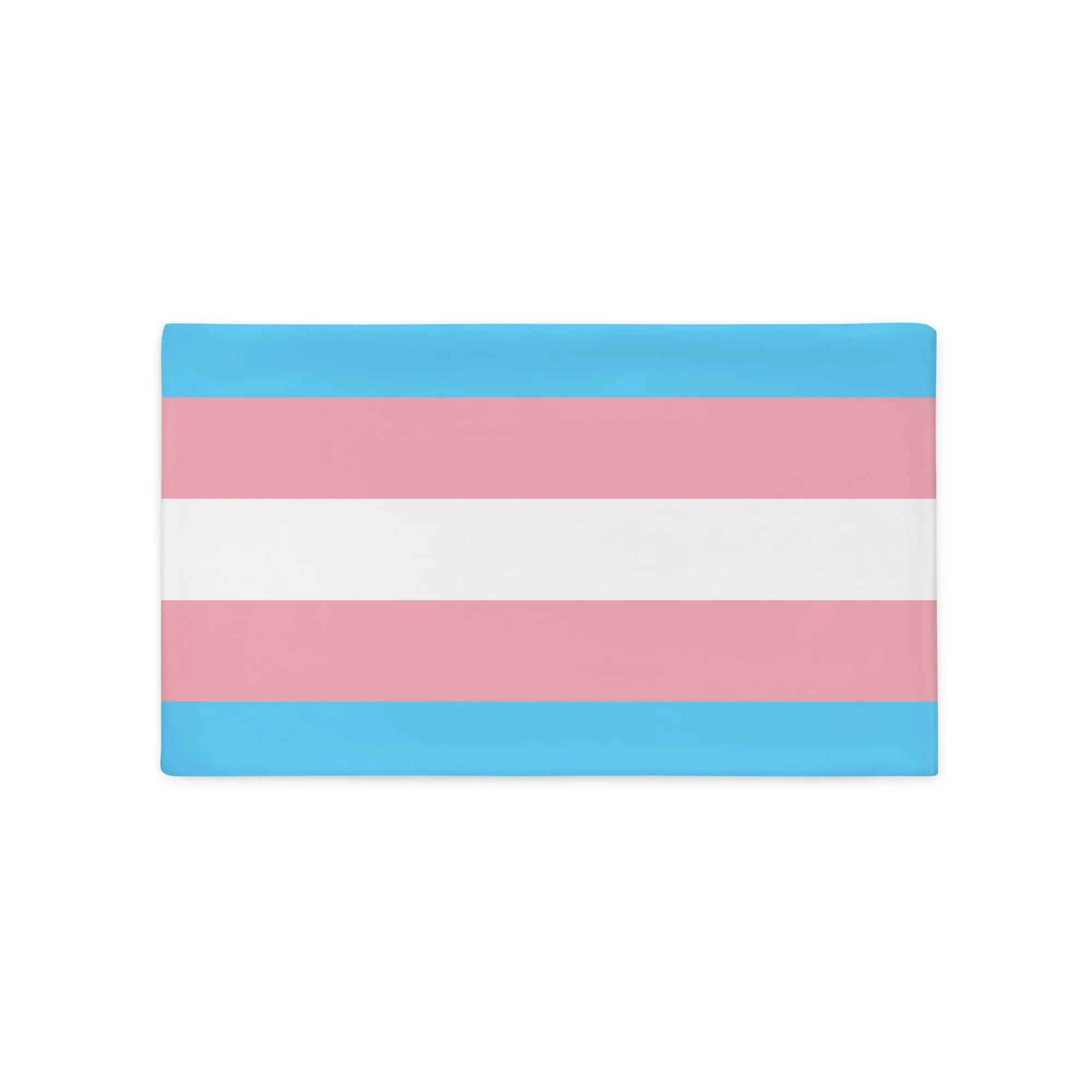 Trans Pride Pillow Case - Image 4