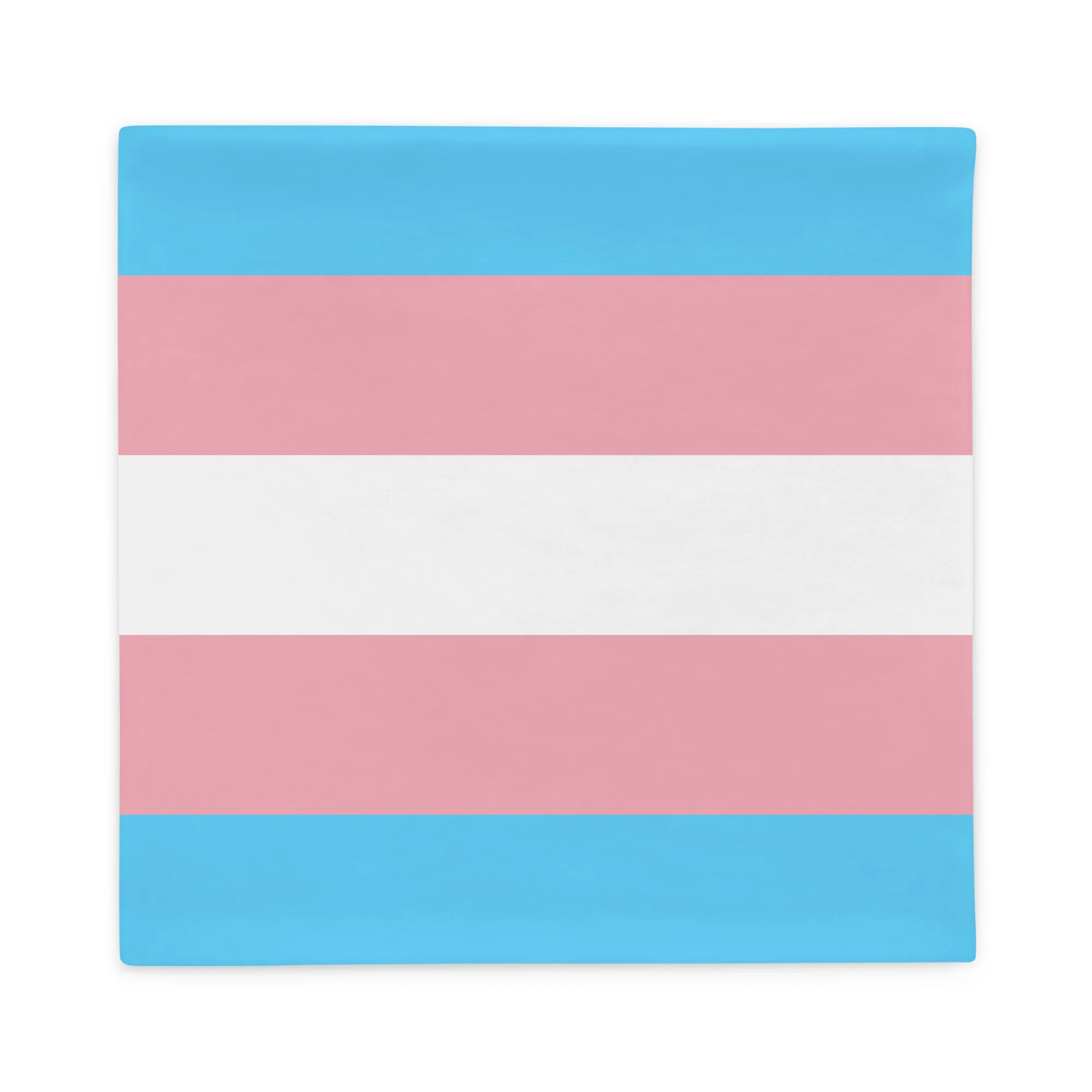 Trans Pride Pillow Case - Image 5