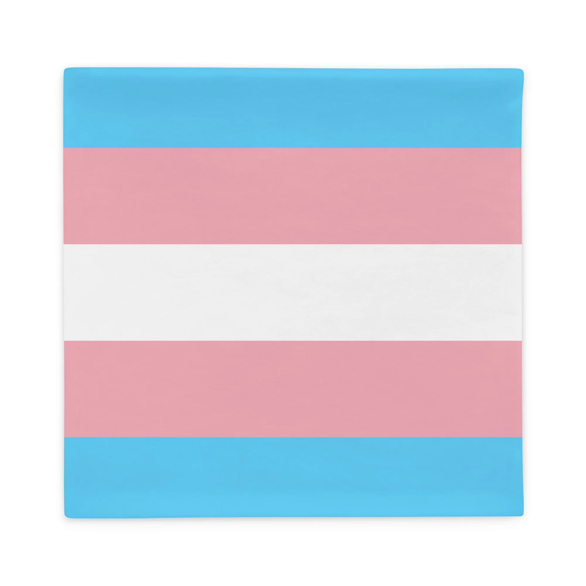 Trans Pride Pillow Case - Image 6